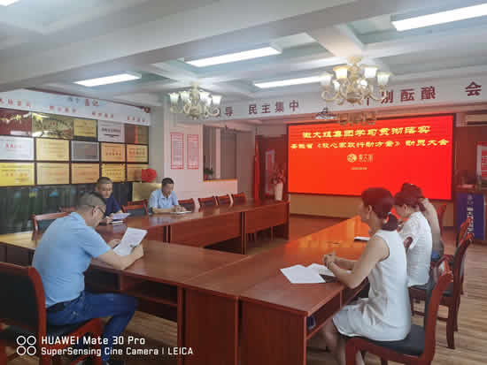 徽大姐集團召開學習貫徹落實安徽省《放心家政行動方案》動員大會
