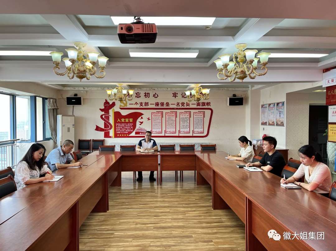 徽大姐集團黨支部開展8月份主題黨日活動——學(xué)習(xí)習(xí)主席重要講話精神